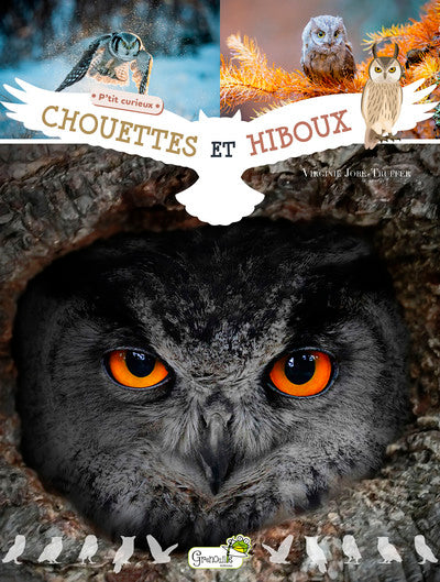 Chouettes et hiboux
