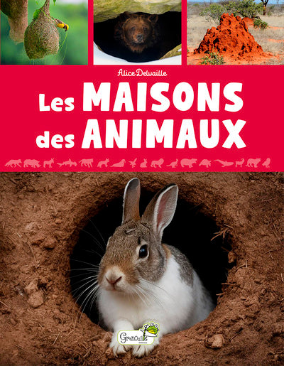 Les maisons des animaux
