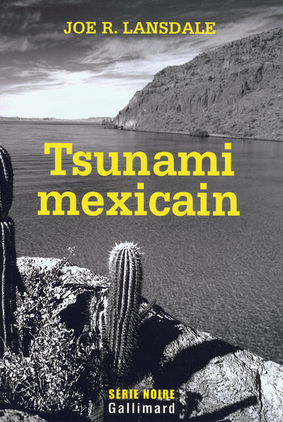 Tsunami mexicain: Une enquête de Hap Collins et Leonard Pine