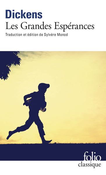 De grandes espérances