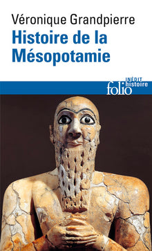 histoire de la mésopotamie