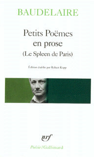 Le spleen de Paris