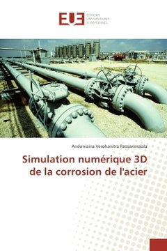 Simulation numerique 3D de la corrosion de l'acier
