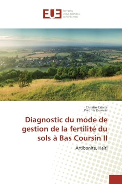 Diagnostic du mode de gestion de la fertilite du sols A Bas Coursin II