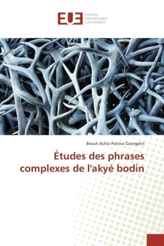 Etudes des phrases complexes de l'akye bodin