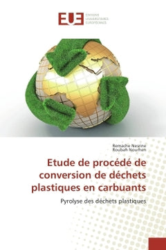 Etude de procede de conversion de dechets plastiques en carbuants