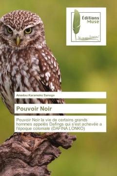 Pouvoir Noir