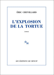 L'explosion de la tortue