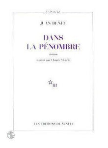 Dans la pénombre
