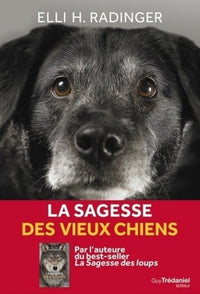 La sagesse des vieux chiens