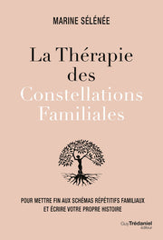 La thérapie des constellations familiales