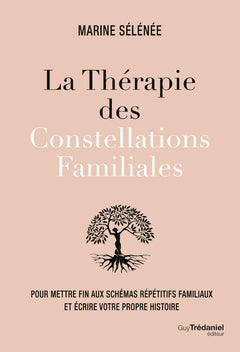 La thérapie des constellations familiales