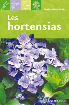 Les hortensias