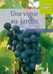 Une vigne au jardin