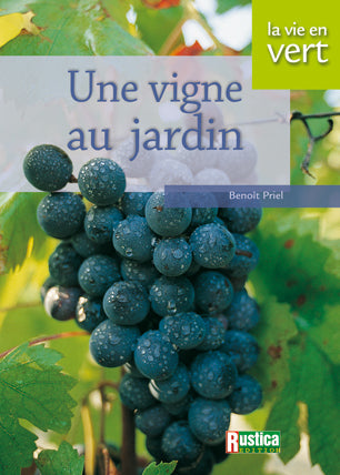 Une vigne au jardin