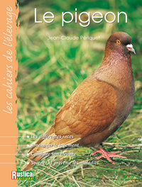 Le pigeon