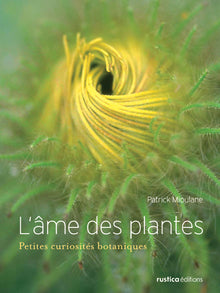 L'âme des plantes (version verte)