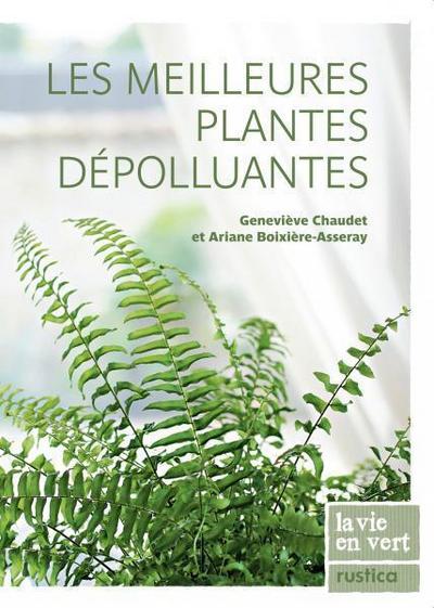 Les meilleures plantes dépolluantes