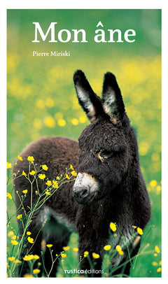 Mon âne