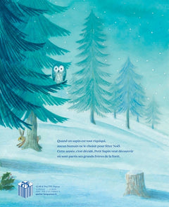 La grande nuit de petit sapin