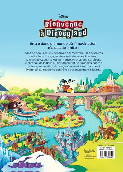 Bienvenue à Disneyland - Les histoires du parc et des attractions