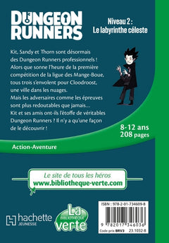 Dungeon Runners 02 - Niveau 2 : Le labyrinthe céleste