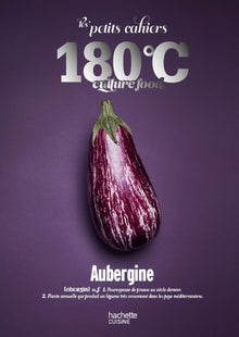 Les petits cahiers 180°C - Aubergine