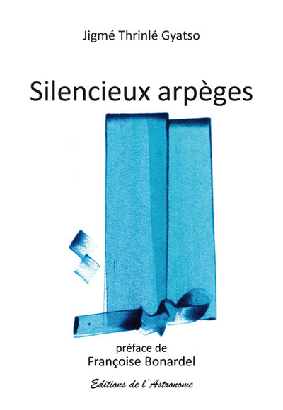 Silencieux Arpèges