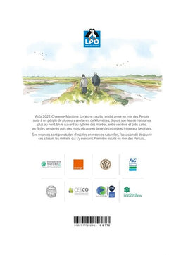 Carnet de voyage d'un Courlis