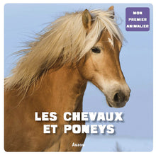 Les chevaux et les poneys