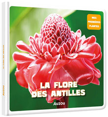 La flore des Antilles