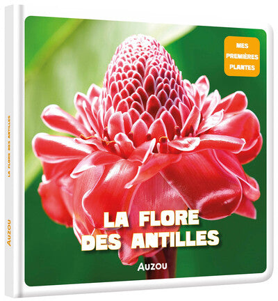 La flore des Antilles