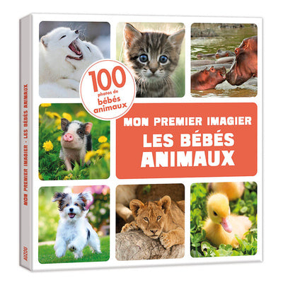 Bébés animaux