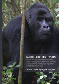 La montagne des esprits