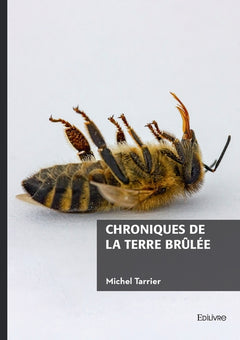 Chroniques de la terre brûlée