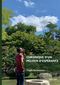 Chronique d'un pèlerin d'espérance