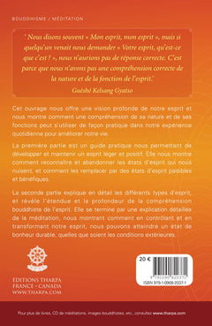 Comment Comprendre L'Esprit