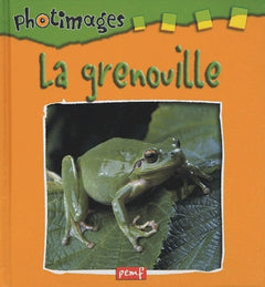 Photimages / La grenouille