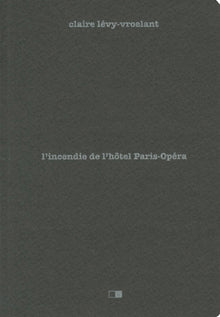 L'incendie de l'hôtel Paris-Opéra. Enquête sur un drame social
