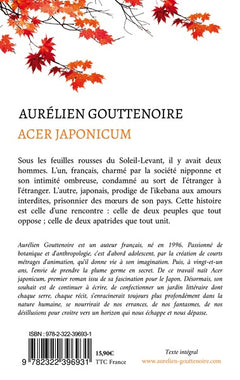 Acer japonicum