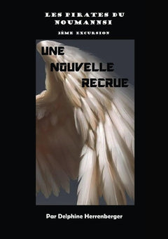 Les pirates du Noumannsi