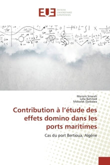 Contribution à l'étude des effets domino dans les ports maritimes