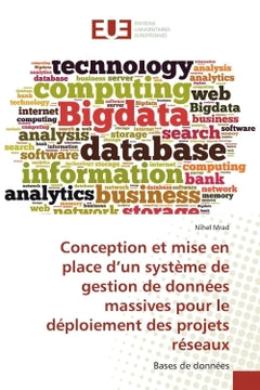 Conception et mise en place d'un système de gestion de données massives