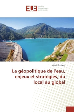 La géopolitique de l'eau, enjeux et stratégies, du local au global