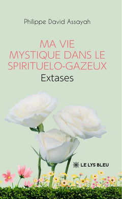 Ma vie mystique dans le spirituelo-gazeux