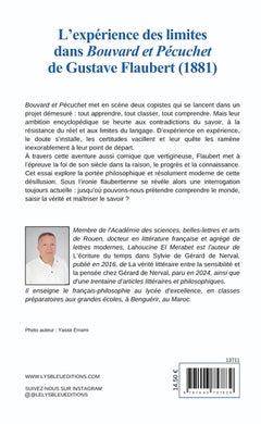 L'expérience des limites dans Bouvard et Pécuchet de Gustave Flaubert (1881)