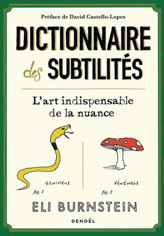 Dictionnaire des subtilités