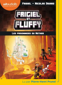 Les prisonniers du Nether