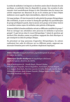 Le groupe : une médiation ?