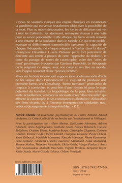 L'engagement dans l'espace de la rencontre transférentielle par temps de catastrophe